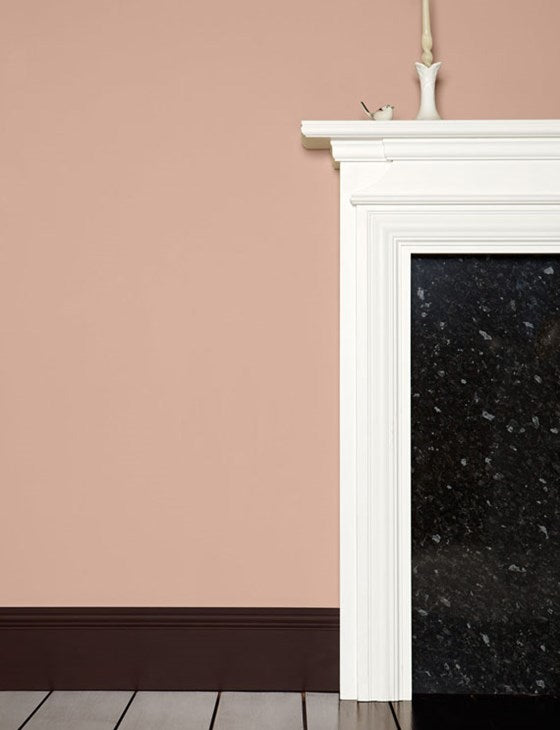 Farrow & Ball - Dead Salmon No. 28