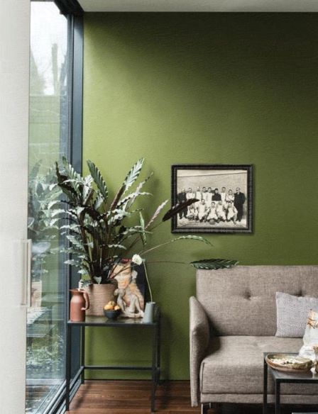 Farrow &amp; Ball - Bancha No. 298