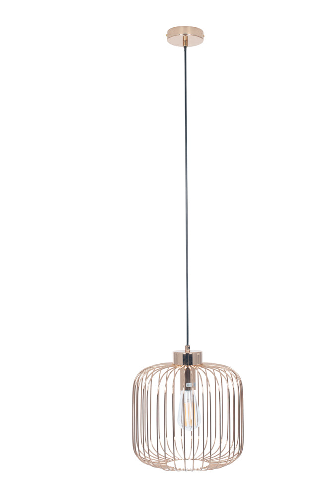Pacific Dania French Gold Metal Wire Pendant 35-225