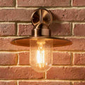 Pacific Lilium Copper Metal and Glass Fisherman Wall Light 40-015