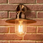 Pacific Lilium Copper Metal and Glass Fisherman Wall Light 40-015