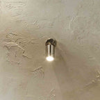 Pacific Lantana Brushed Steel Adjustable Directional Spot Light 40-022