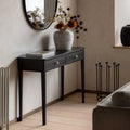 Arla 2 Drawer Console Table Black