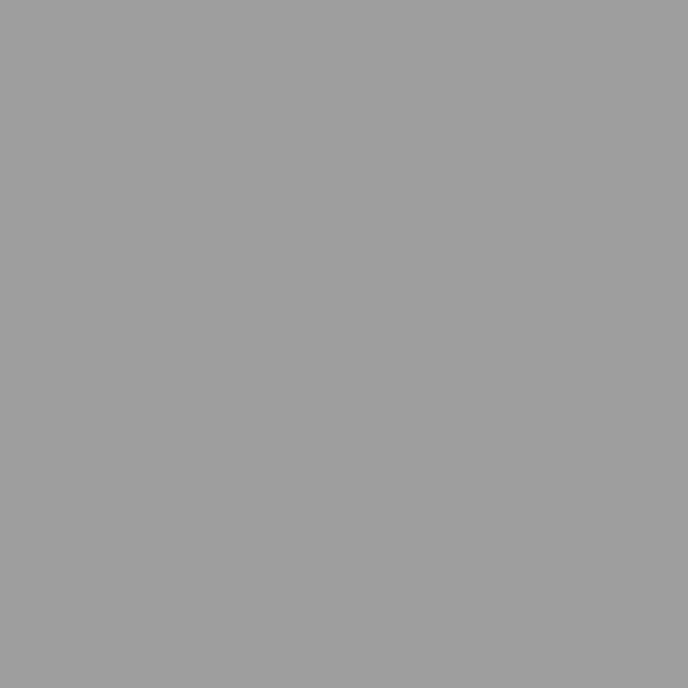 Dulux Heritage - Pewter Plate