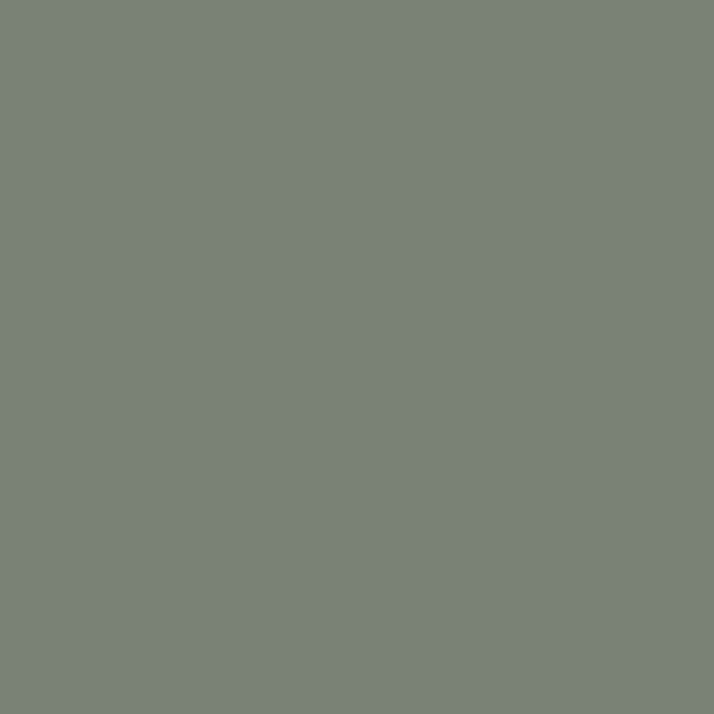 Dulux Heritage - Waxed Khaki