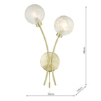 Avari 2 Light Wall Light Satin Brass Glass<br>Satin Brass