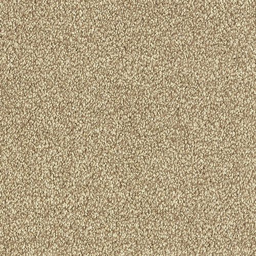 Attilus - Biscotti
