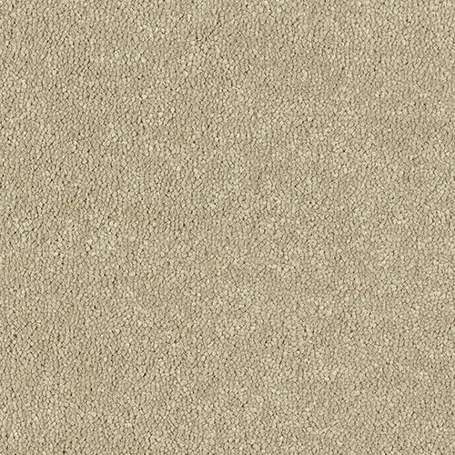 Attilus - Moccasin