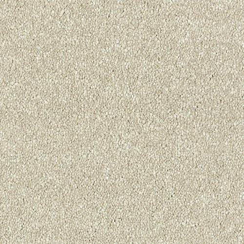 Attilus - Parchment
