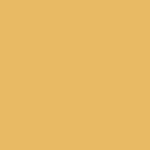 Farrow & Ball - Babouche No. 223
