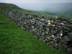 Doyle Outdoor Wall Light Black/Gold Glass IP44<br>Matt Black Gold