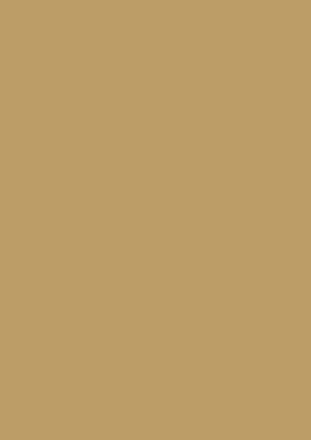 Farrow & Ball – Duster No. 319