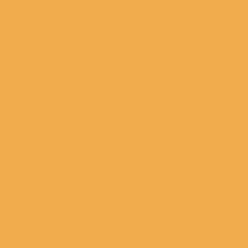 Farrow & Ball - Dutch Orange No. W76