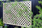 Grange ELTSQL2 Elite Square Lattice 0.6m - Green