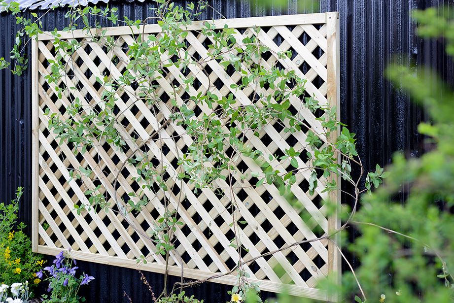 Grange ELTSQL2 Elite Square Lattice 0.6m - Green
