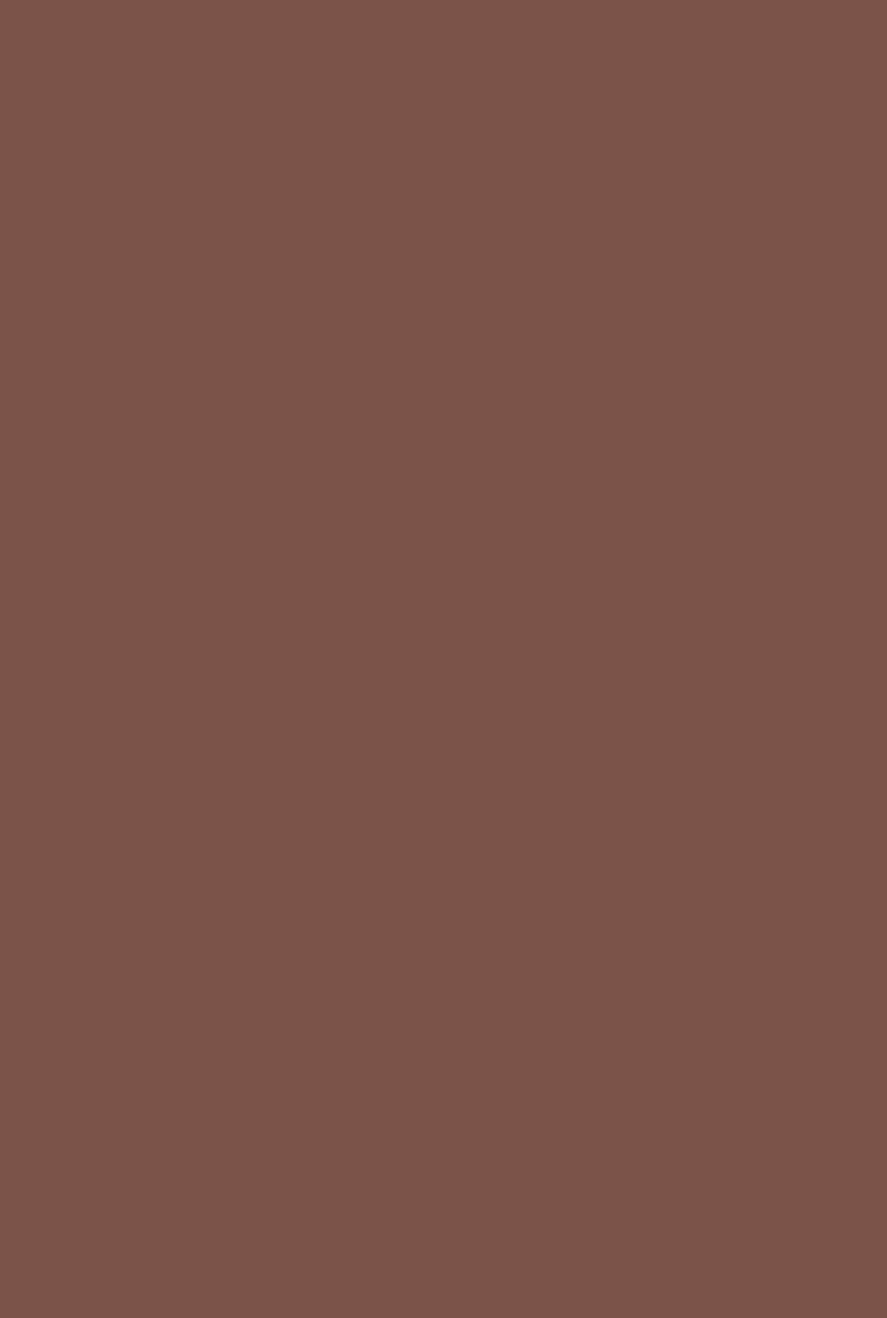 Farrow & Ball – Etruscan Red No. 56