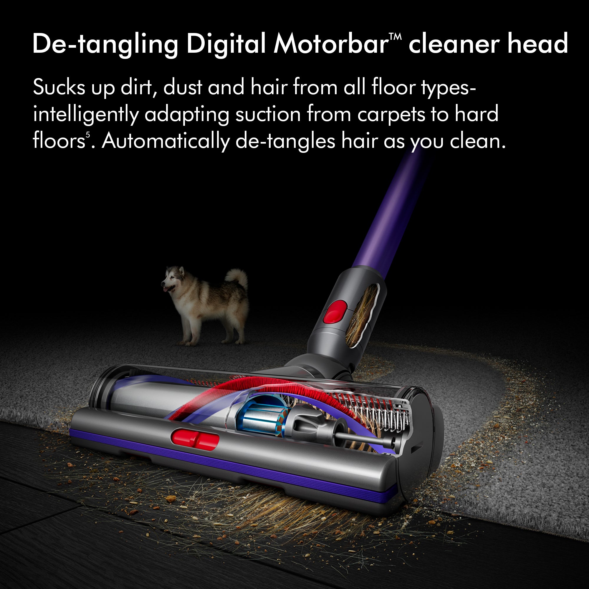 Dyson GEN5DETECT-2023 Cordless Vacuum Cleaner