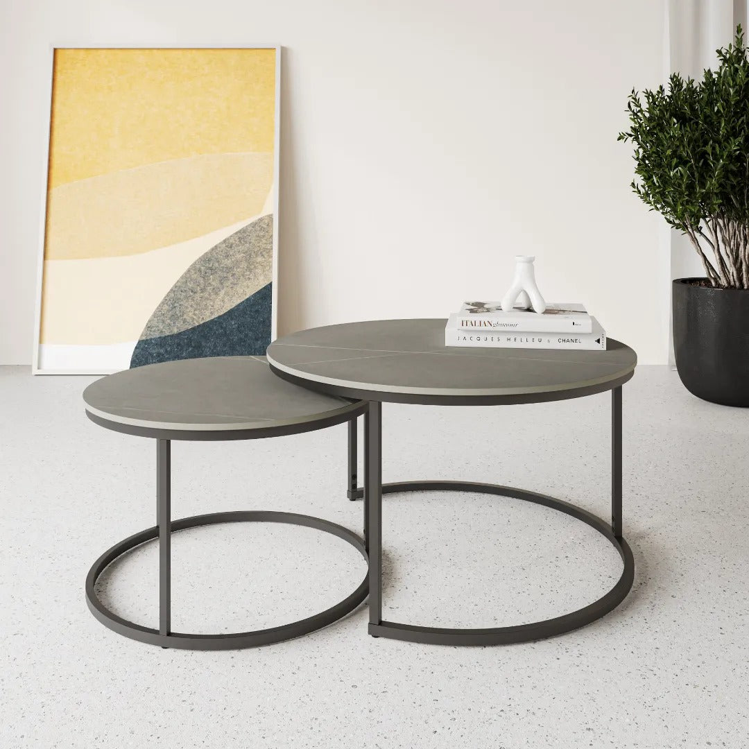 Zico Grey Ceramic Coffee Table Set - Pair