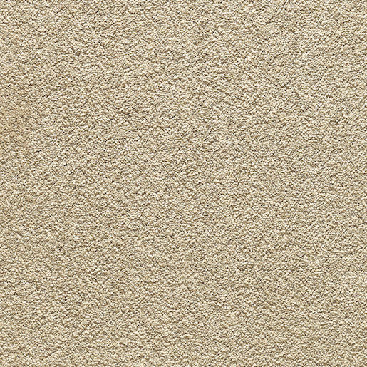 Majestic Luxury - Champagne Tickle