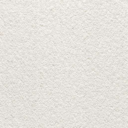 Majestic Luxury - White Orchid