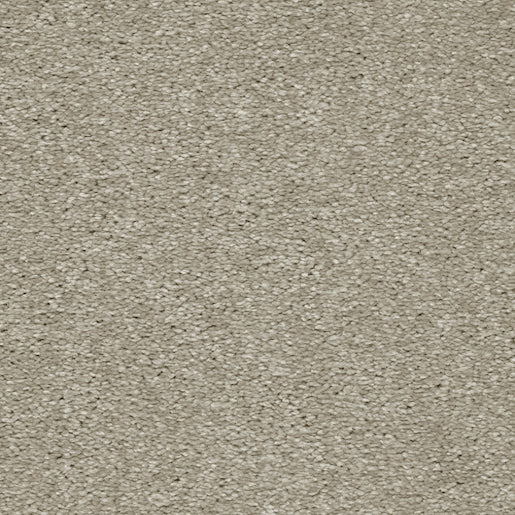 Montreal Elite - Brushed Cotton