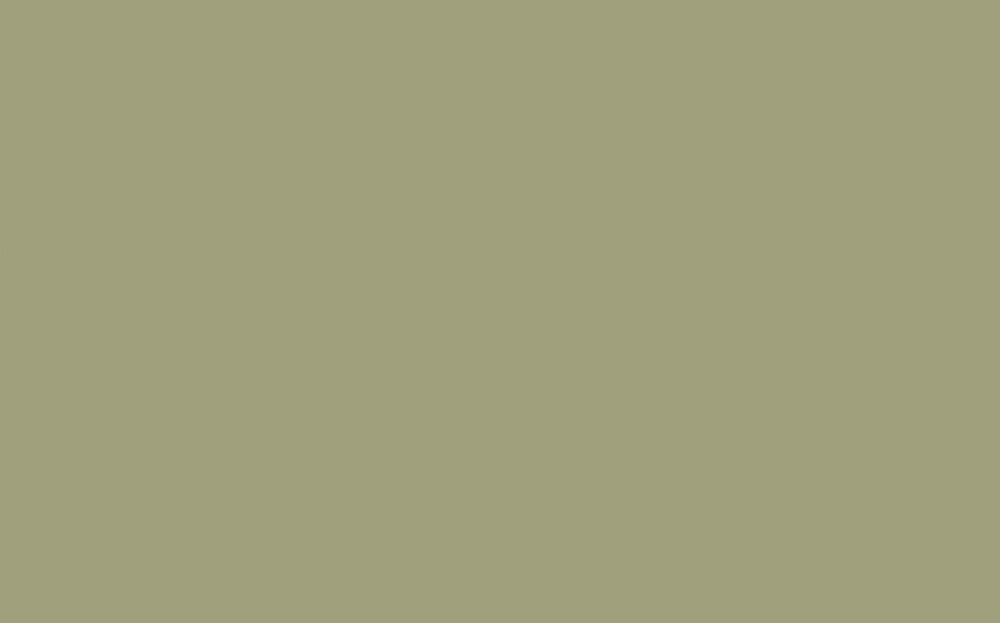 Little Greene - Normandy Grey 79