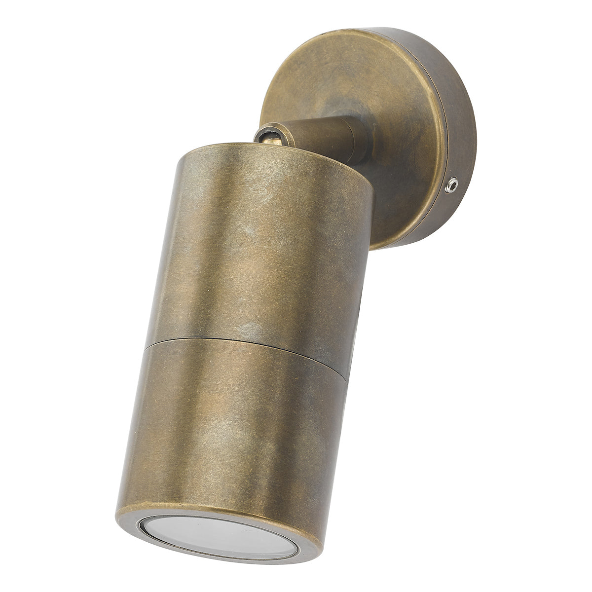 Ortega Outdoor Single Spotlight Natural Brass IP65<br>Aged Brass