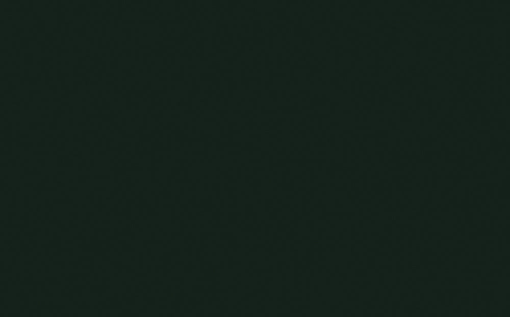 Little Greene - Obsidian Green 216