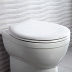 Roper Rhodes Neutron Soft Close Seat White