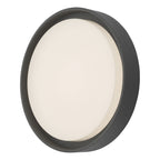 Ralph Large Outdoor Wall Light Anthracite IP65 LED<br>Matt Grey