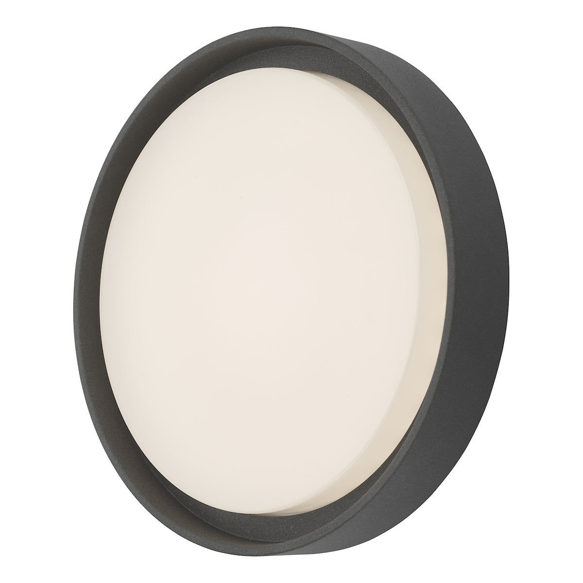 Ralph Large Outdoor Wall Light Anthracite IP65 LED<br>Matt Grey