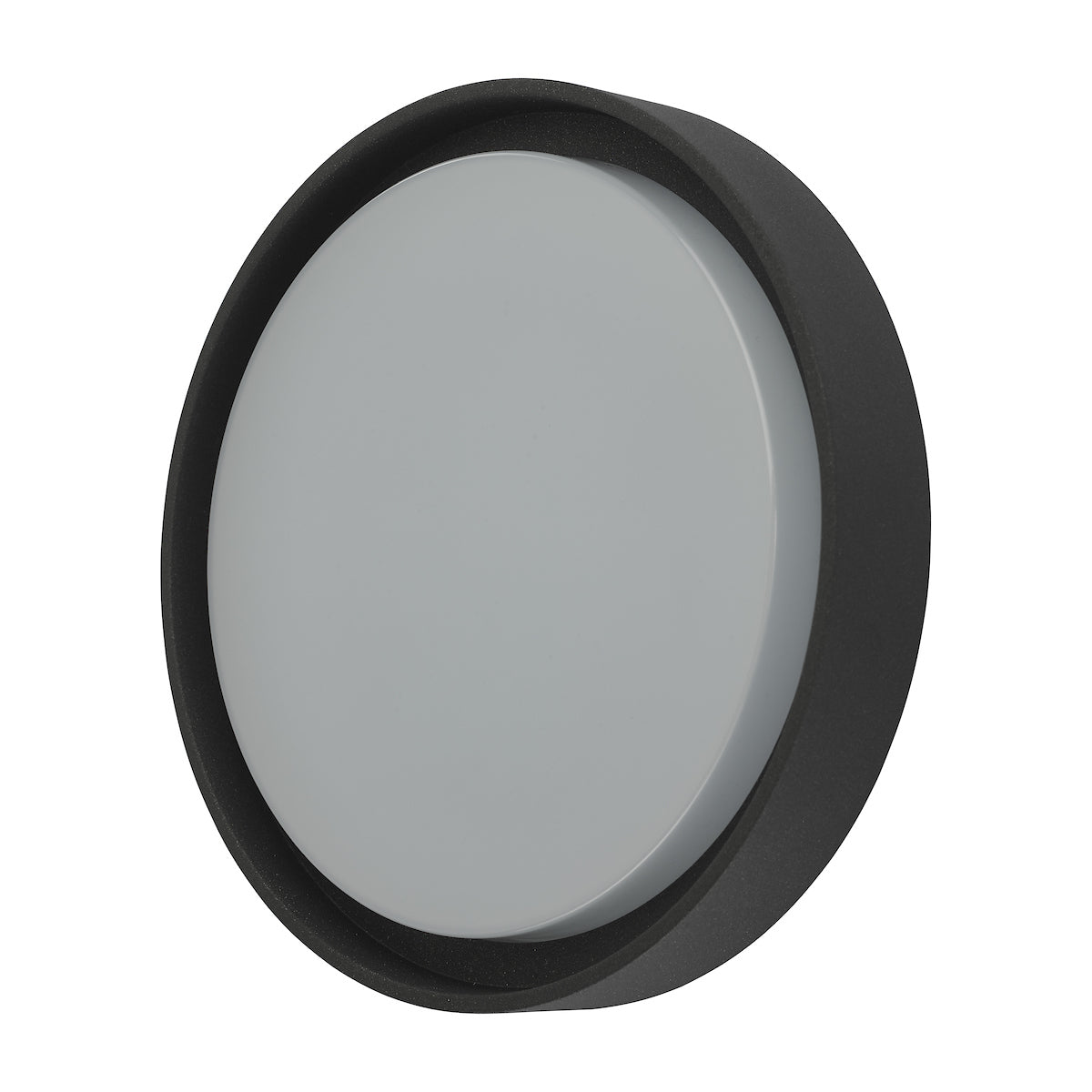 Ralph Large Outdoor Wall Light Anthracite IP65 LED<br>Matt Grey