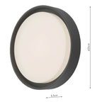 Ralph Large Outdoor Wall Light Anthracite IP65 LED<br>Matt Grey