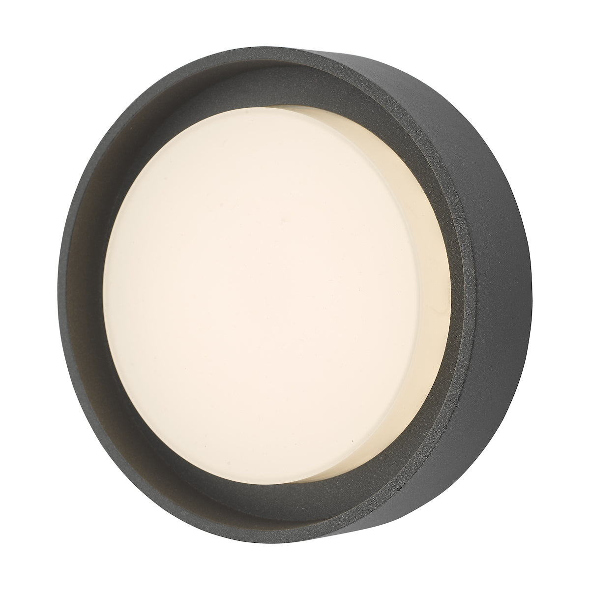 Ralph Small Outdoor Wall Light Anthracite IP65 LED<br>Matt Grey
