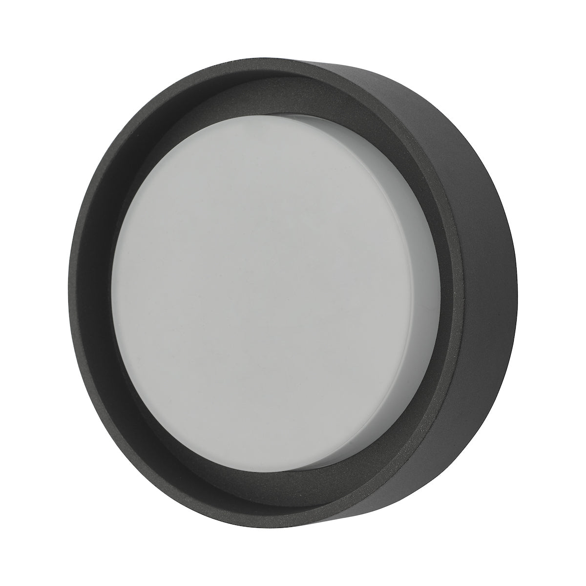 Ralph Small Outdoor Wall Light Anthracite IP65 LED<br>Matt Grey