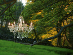 Raphael 8 Light Chandelier Champagne Crystal<br>Champagne Glass