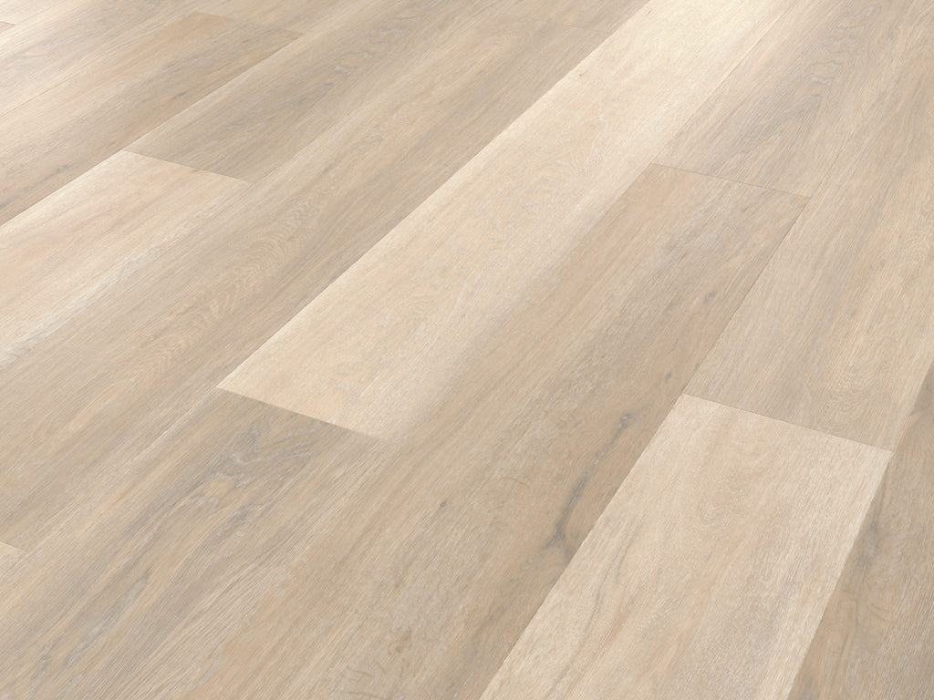 Palio Korlok - Texas White Ash