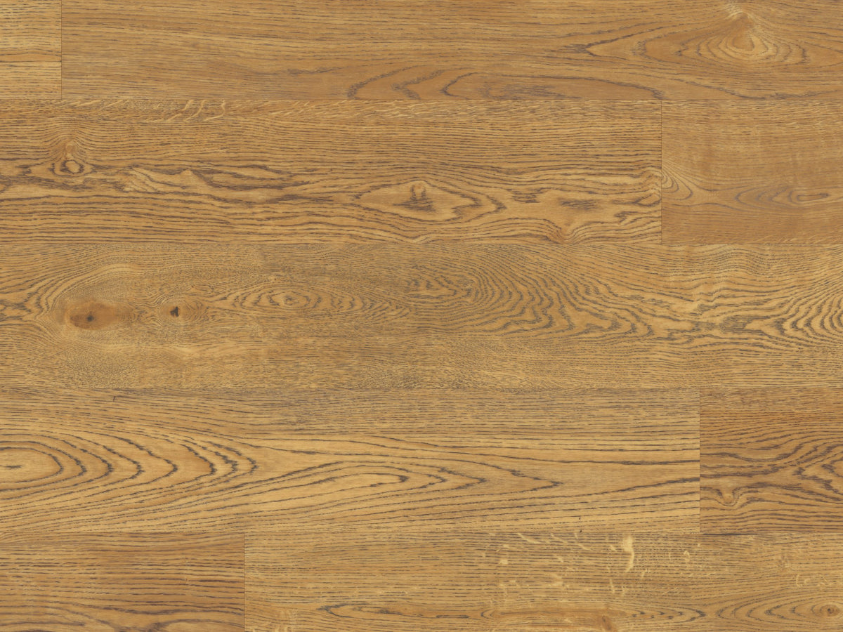 Palio Korlok - English Character Oak