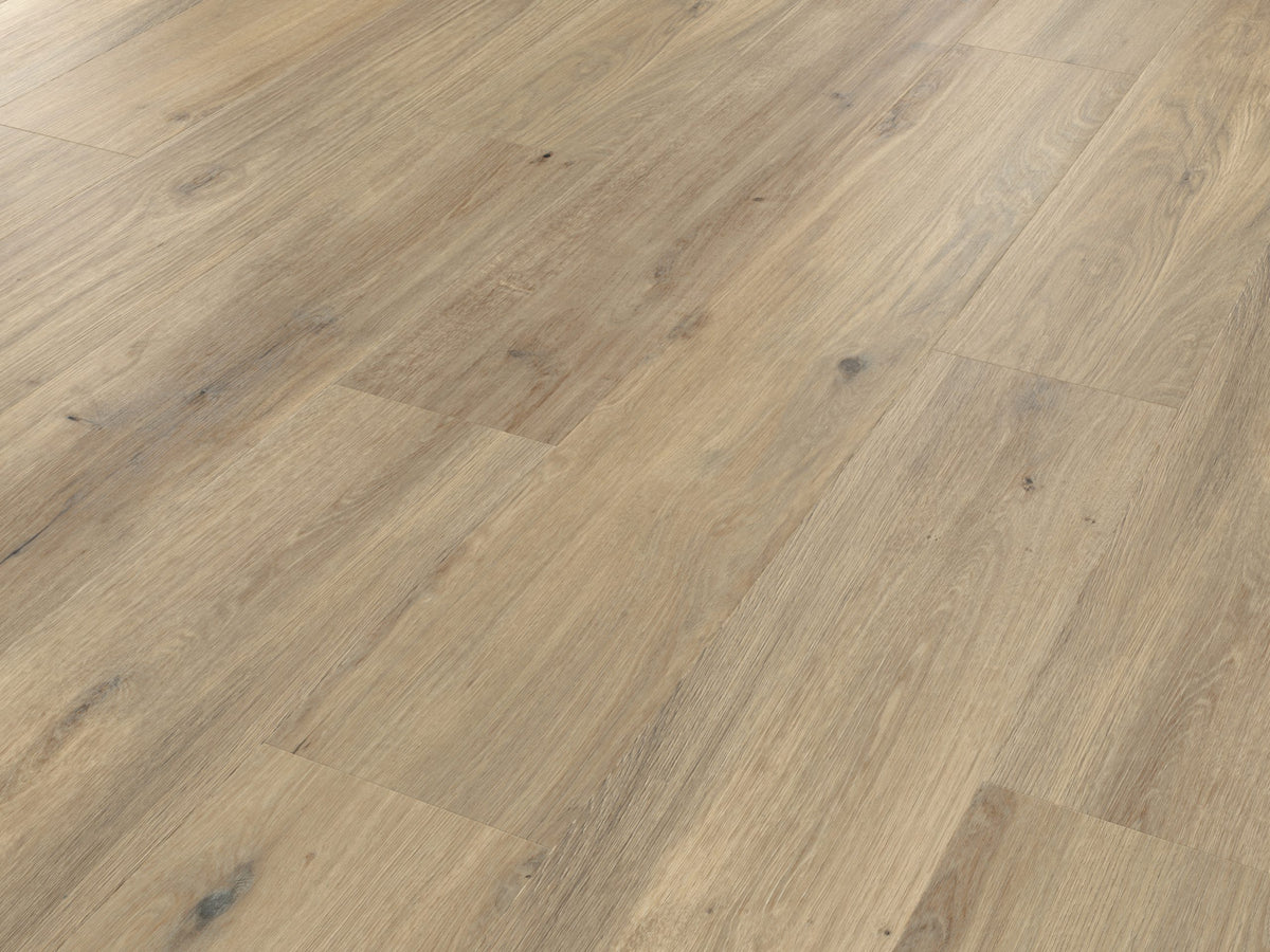 Palio Korlok - Canadian Urban Oak