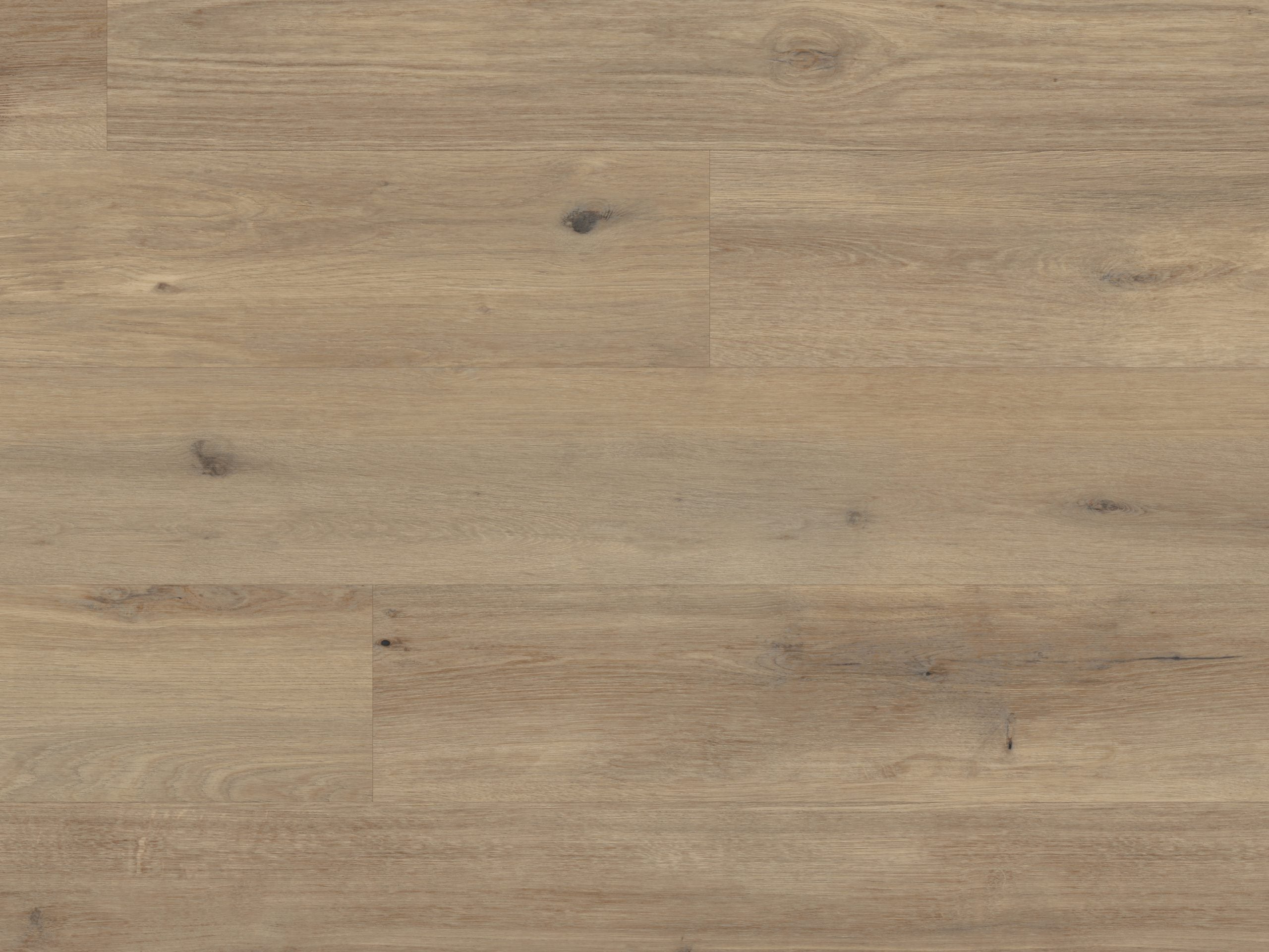 Palio Korlok - Canadian Urban Oak