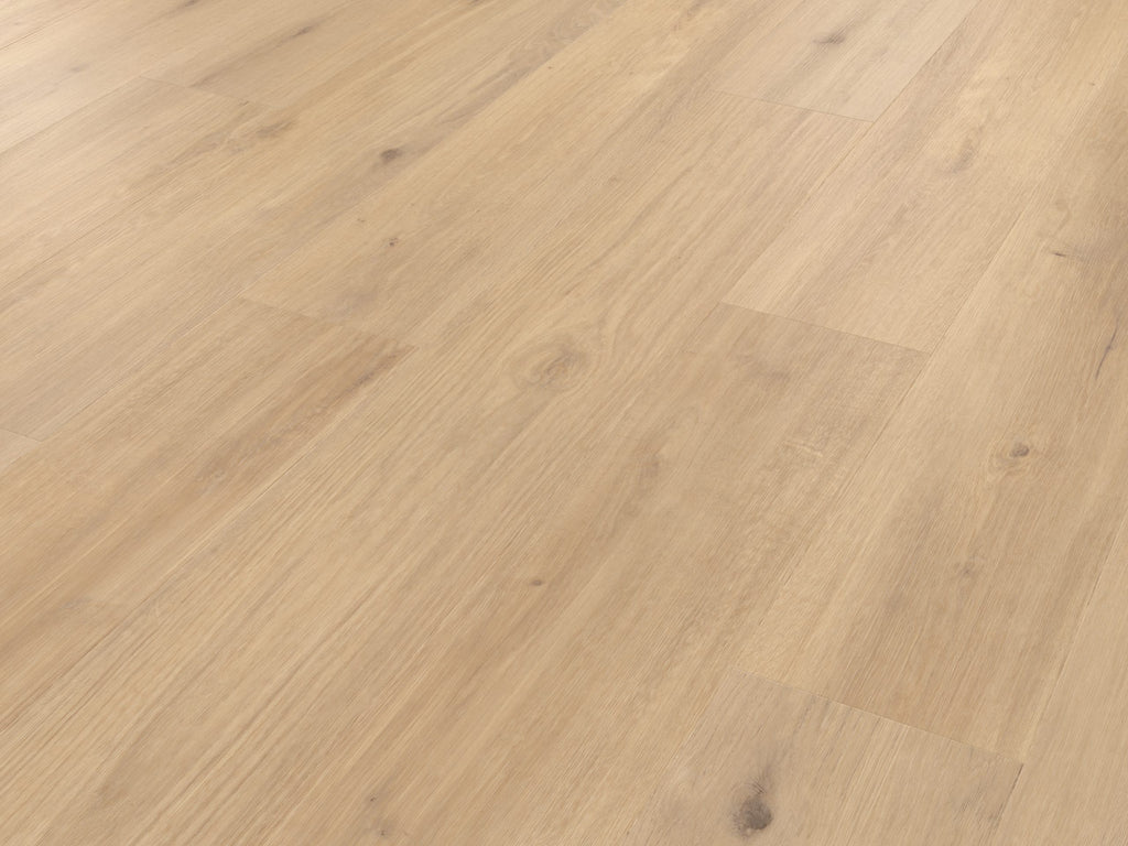 Palio Korlok - Canadian Nude Oak