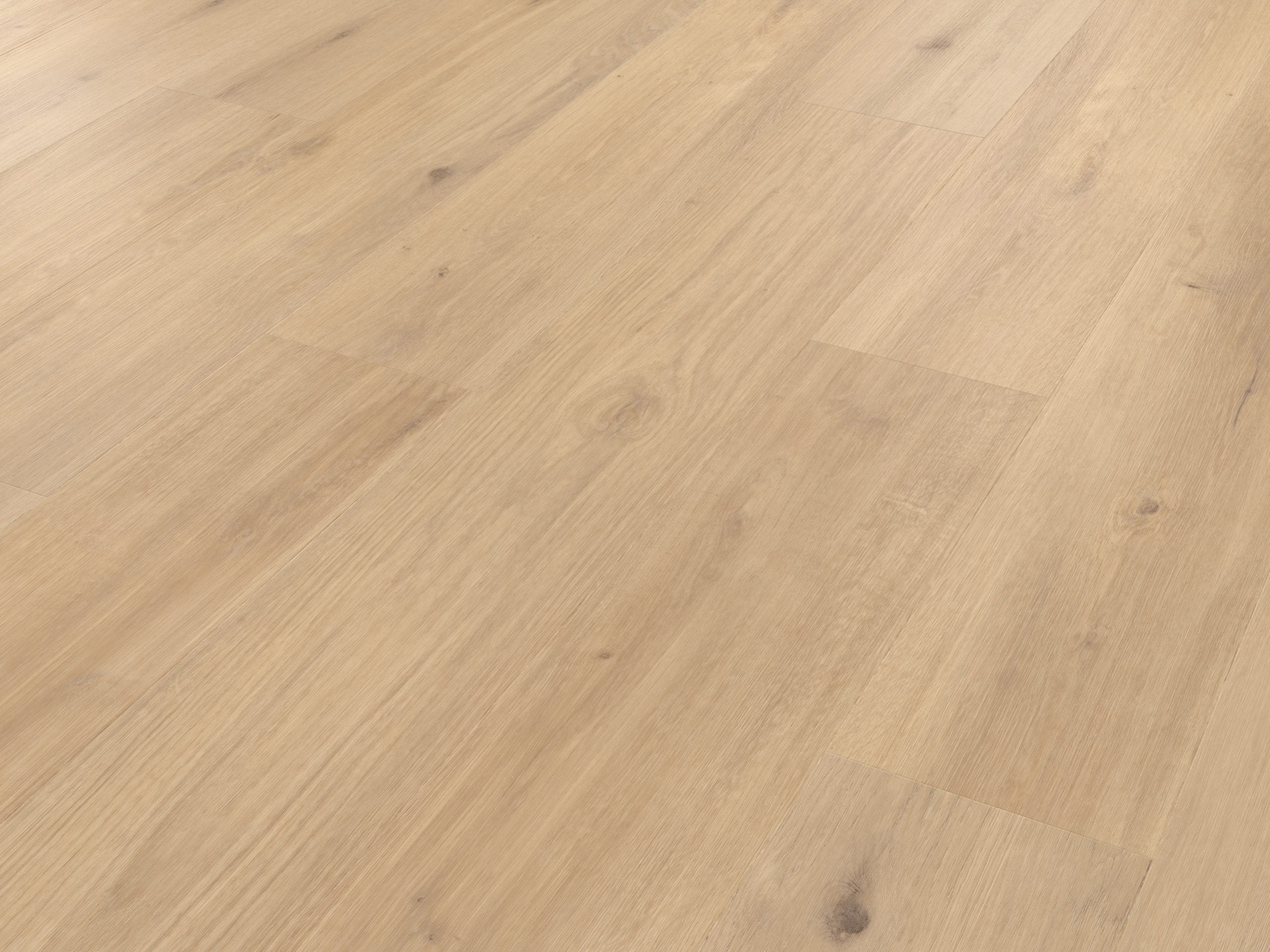 Palio Korlok - Canadian Nude Oak