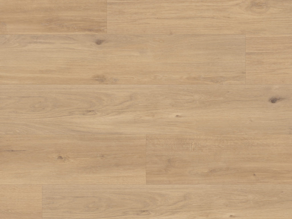 Palio Korlok - Canadian Nude Oak
