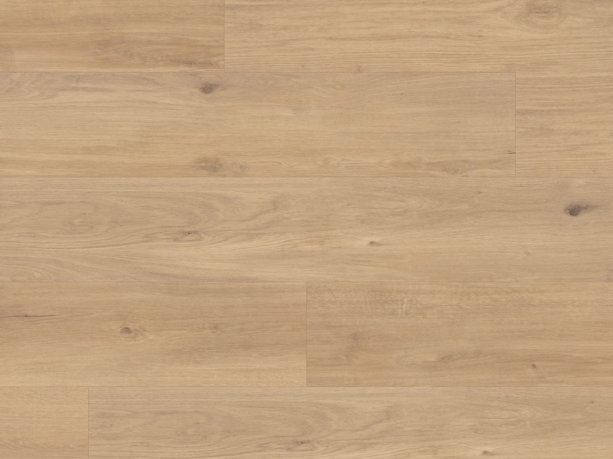 Palio Korlok - Canadian Nude Oak