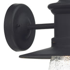 Sedgewick Outdoor Wall Light Black Glass IP44<br>Matt Black