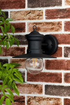 Sedgewick Outdoor Wall Light Black Glass IP44<br>Matt Black
