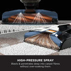 Shark EX150UK CarpetXpert Deep Carpet Cleaner in Navy Blue - Corded