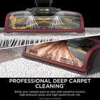 Shark EX220UK CarpetXpert HairPro Pet Deep Carpet Cleaner - Grey/Burgundy