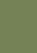 Farrow & Ball – Sap Green No. 199