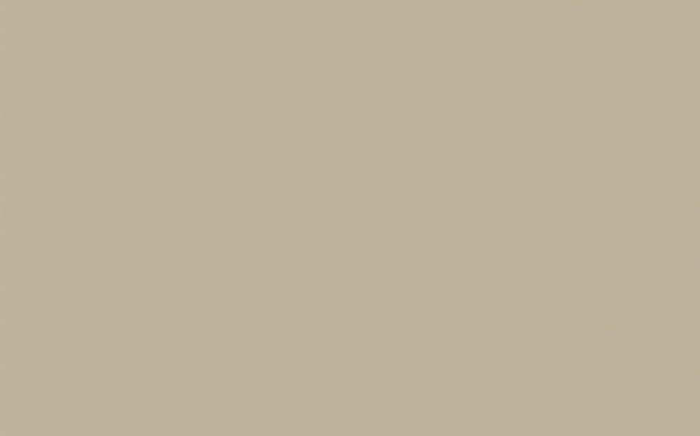 Little Greene - Slaked Lime - Dark 151